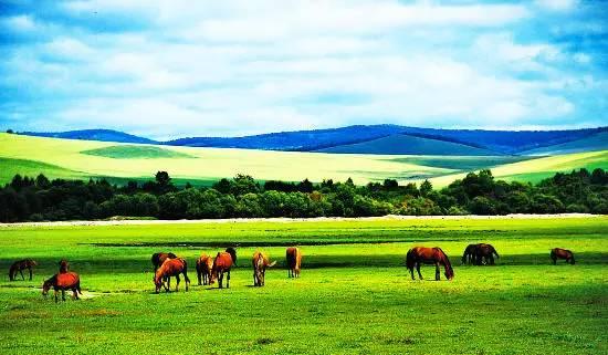 内蒙古任务与学习技能详细步骤指南