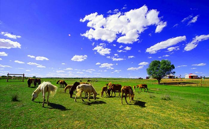 内蒙古任务与学习技能详细步骤指南