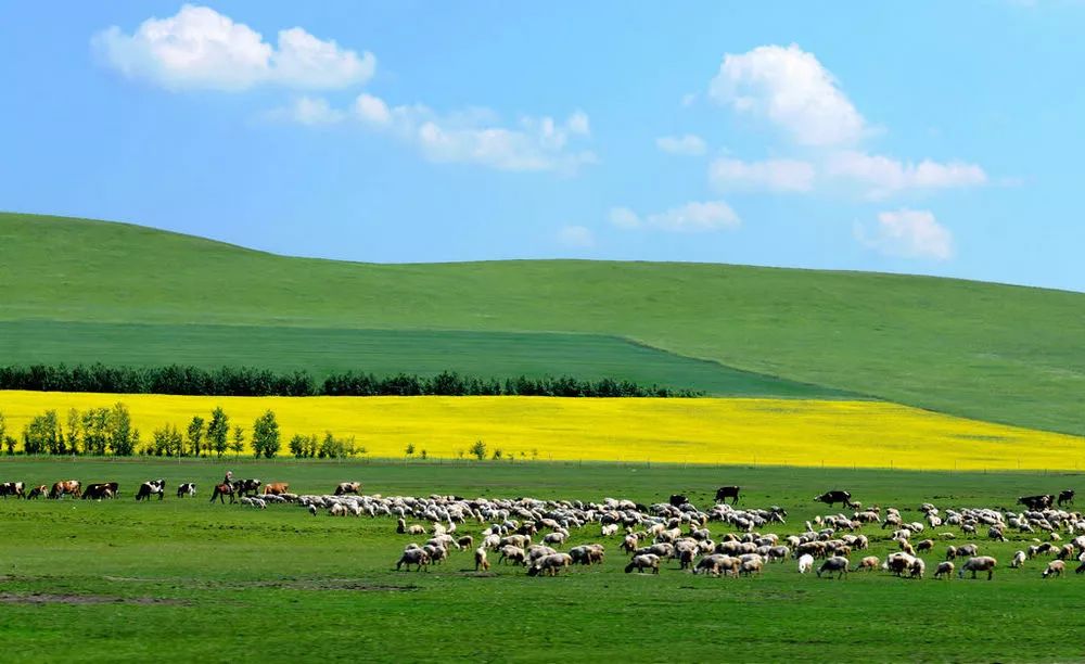 内蒙古，大美内蒙古赋
