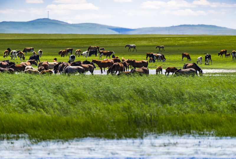 内蒙古,大美内蒙古赋