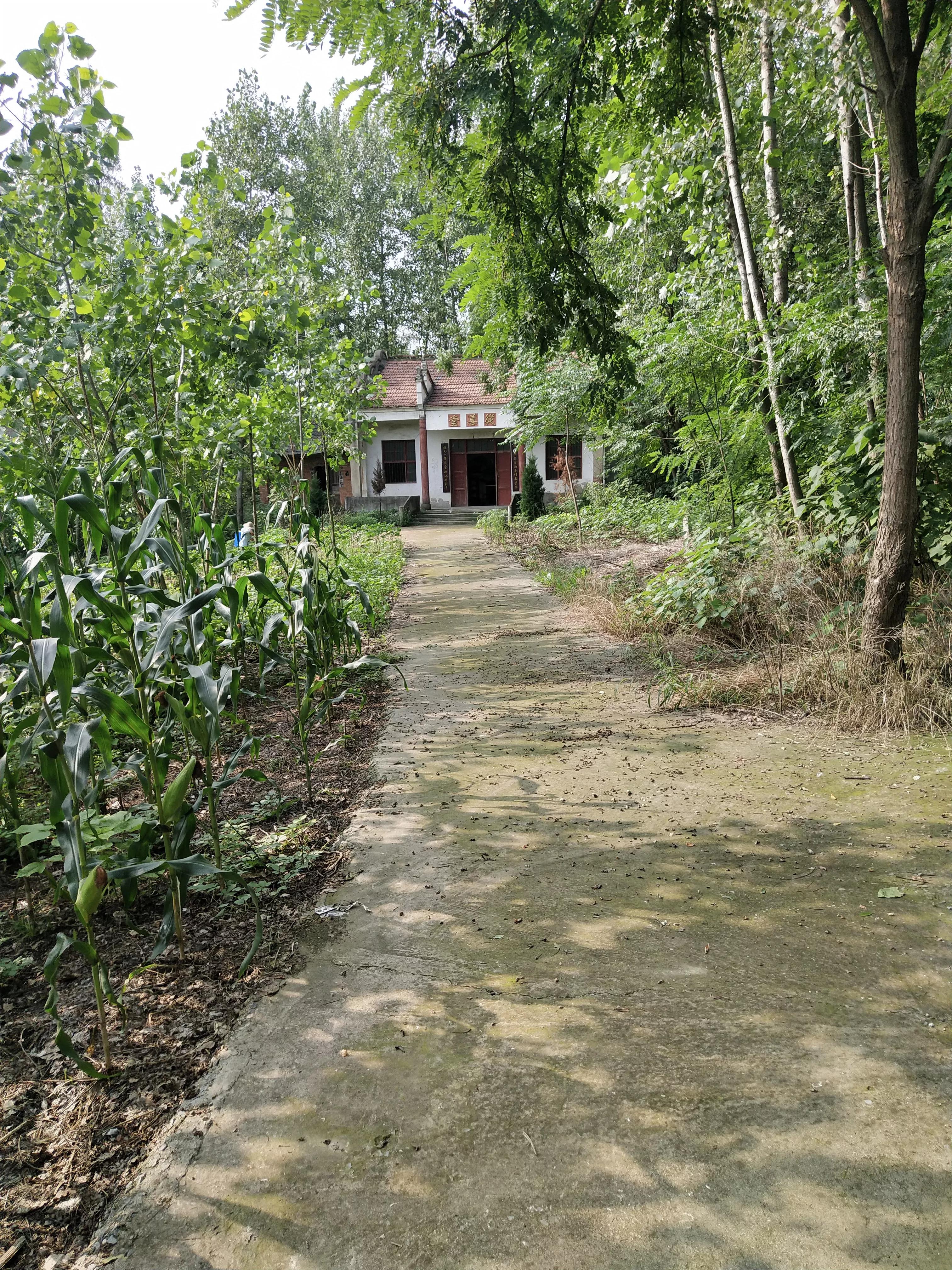 千湖之省湖北，历史长河中的璀璨明珠