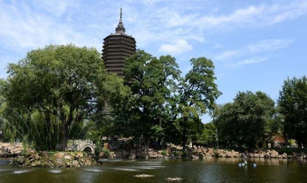 辽阳高科技重塑生活,未来之光璀璨点亮