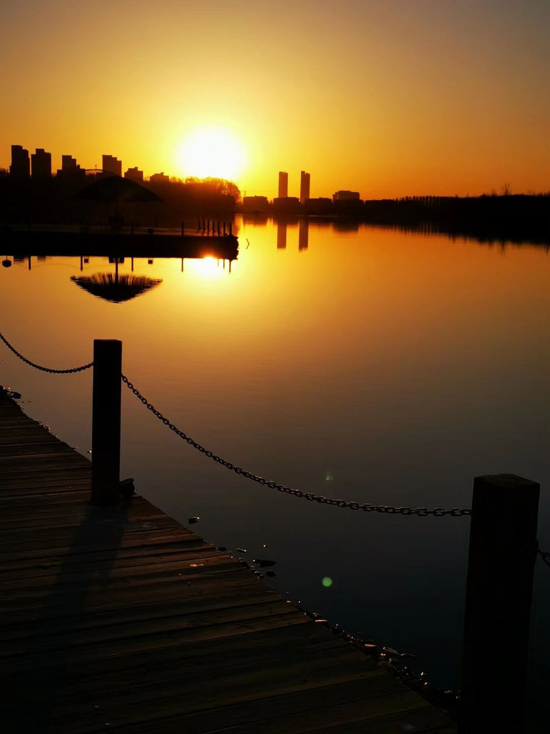 朝阳,城市之光,活力四溢的魅力评论