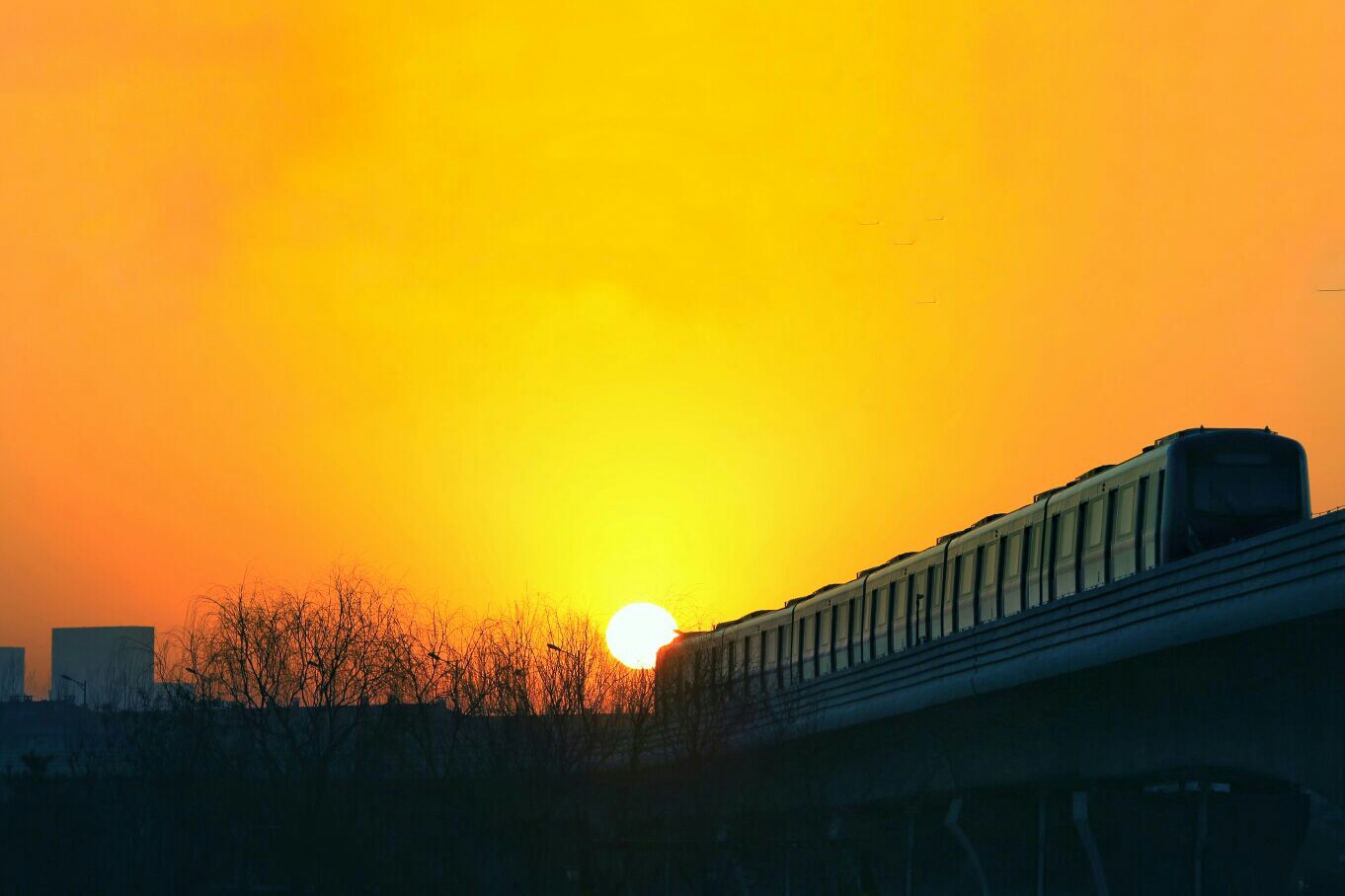 朝阳,城市之光,活力四溢的魅力评论