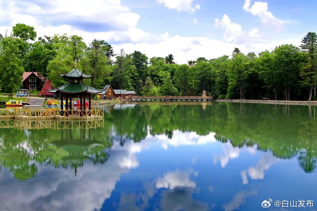 攀登知识高峰，白山的自信与成就之旅